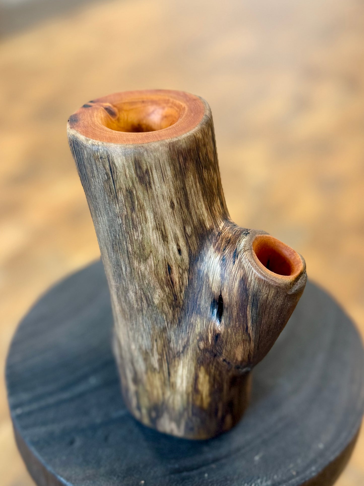 Buckthorn Wood Budvase