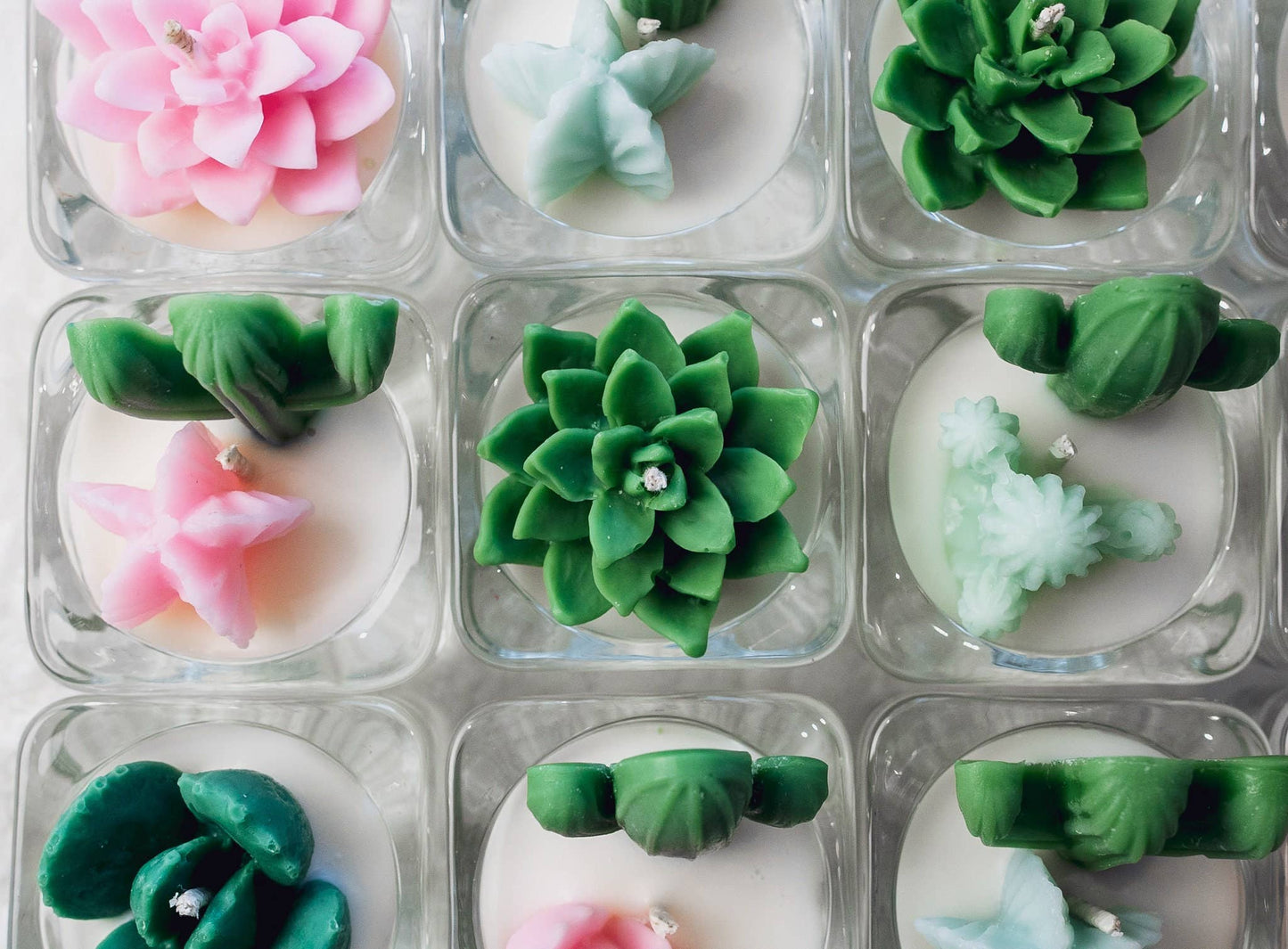 Succulent Tealight Candles | Soy Blend
