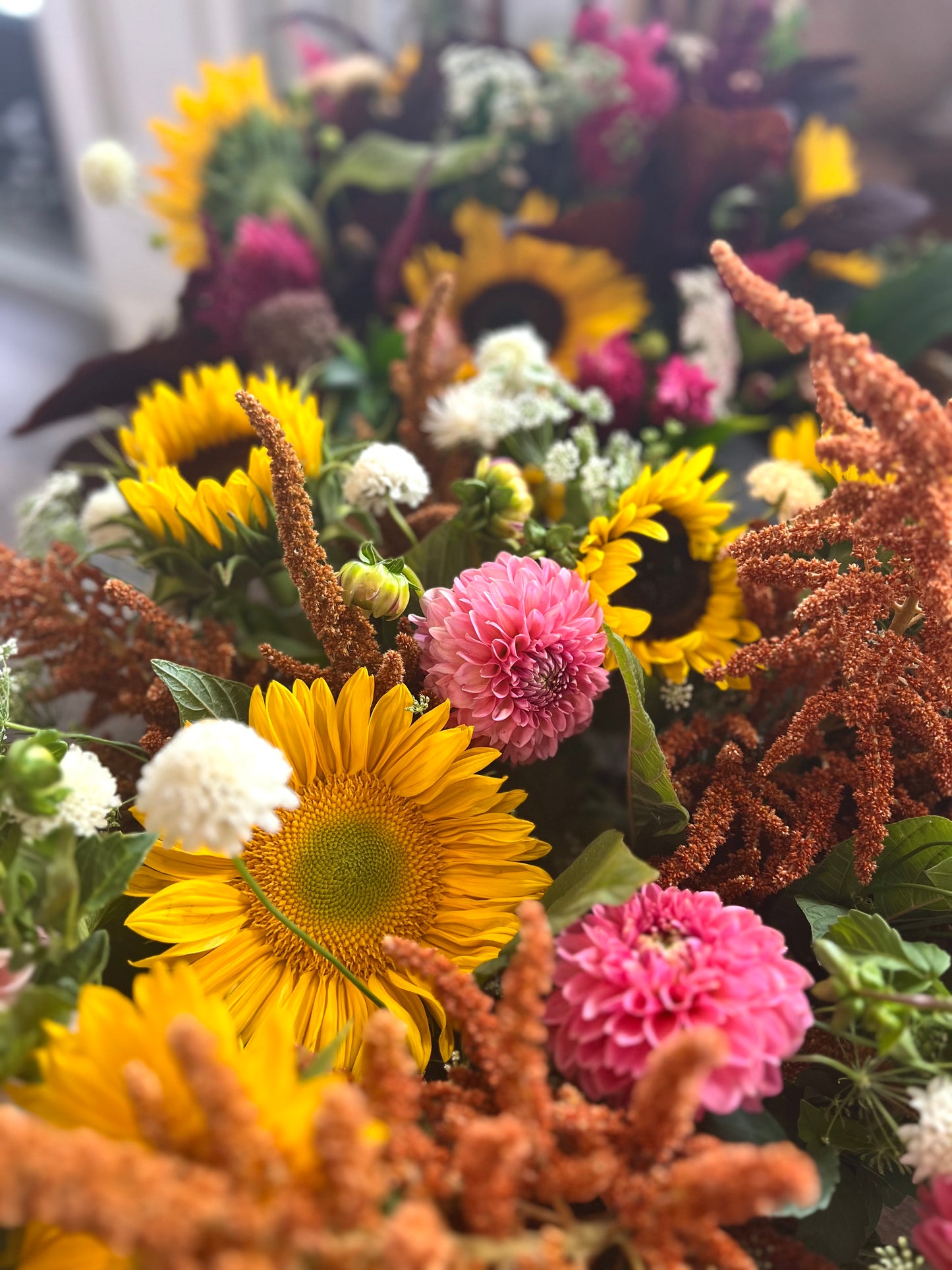 Local Farm Bunch