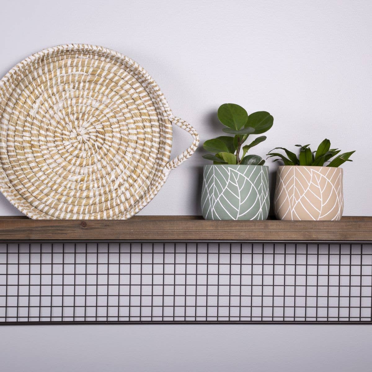 CONCRETE GREEN POT WHITE LEAF EMBOSS