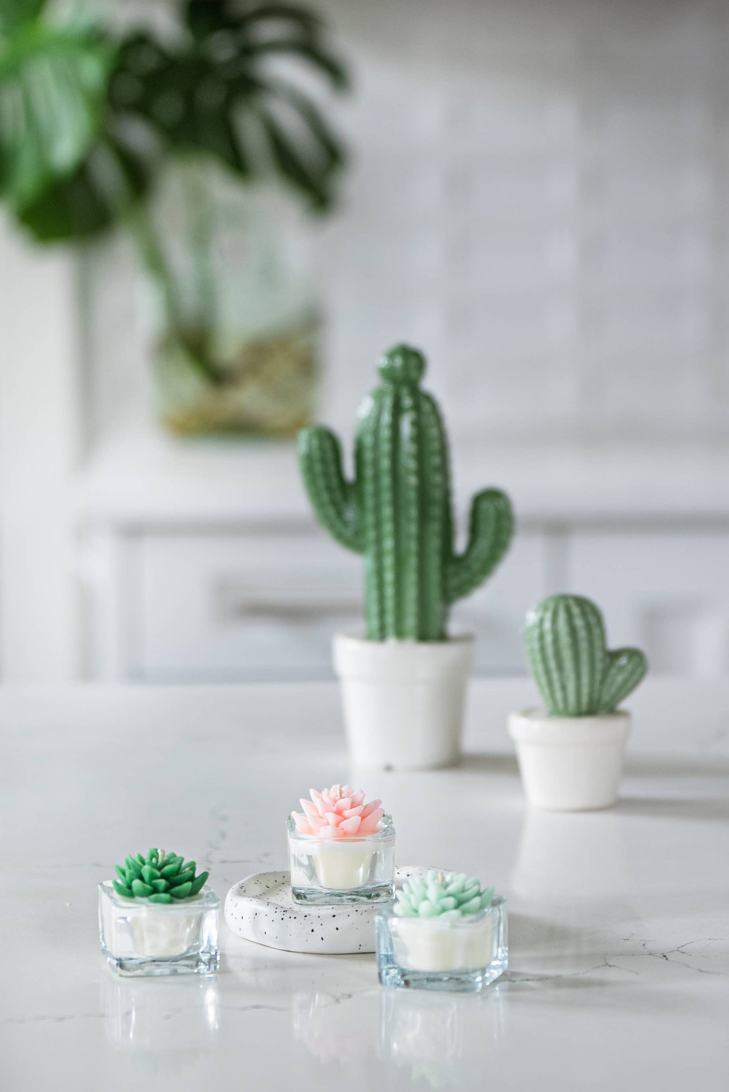 Succulent Tealight Candles | Soy Blend
