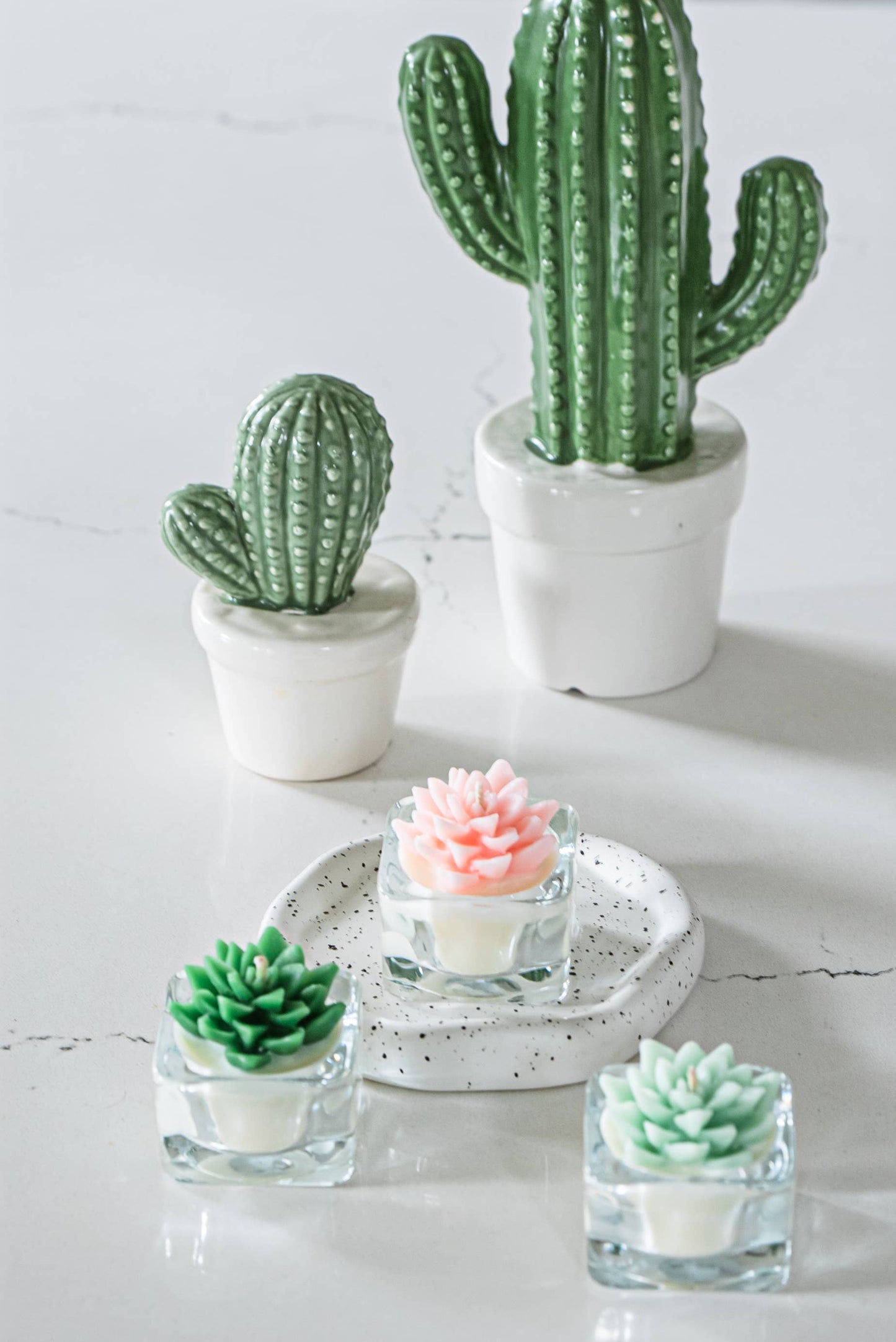 Succulent Tealight Candles | Soy Blend