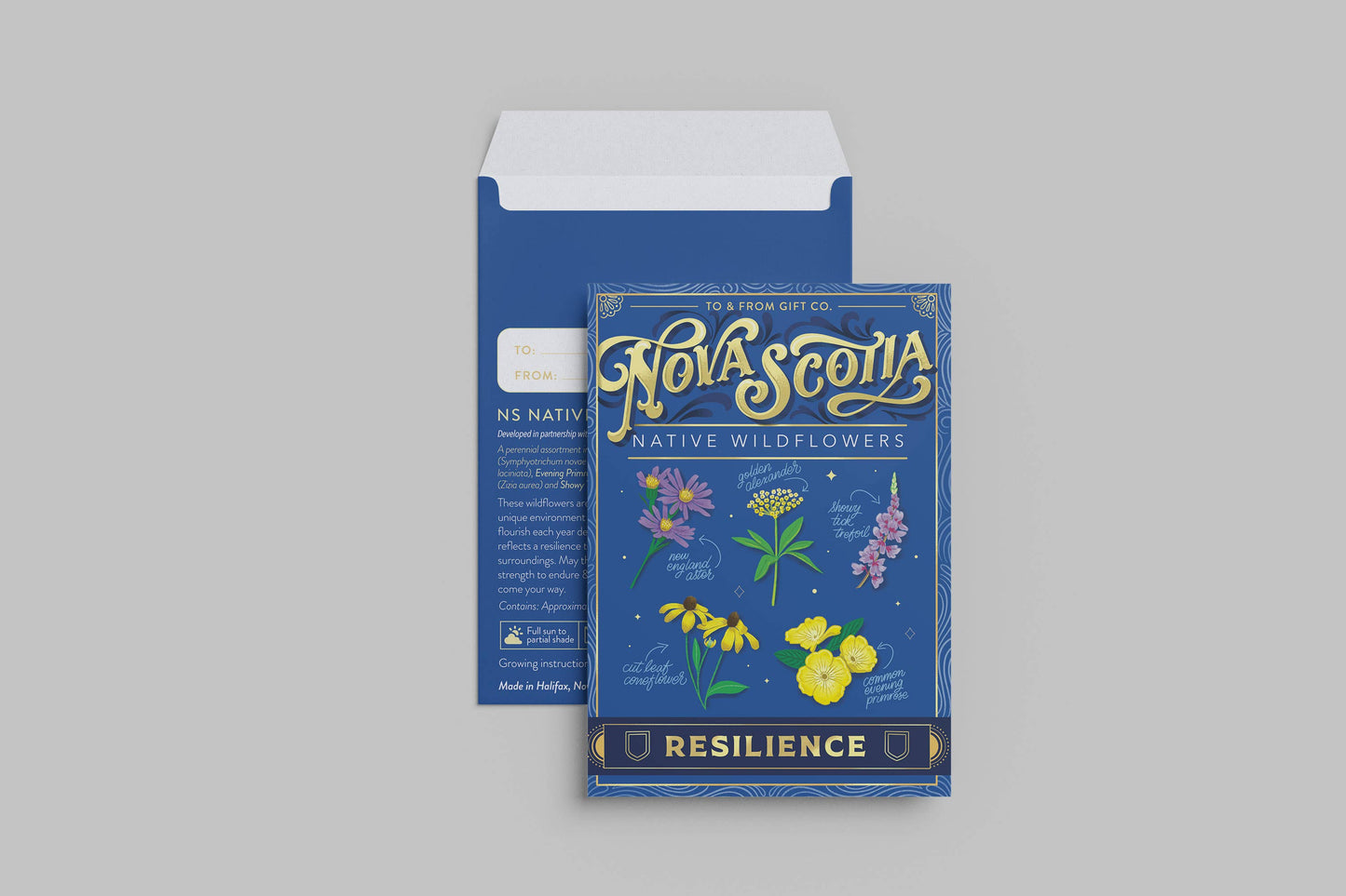 Nova Scotia Native Wildflowers (Resilience) - Seed Packet