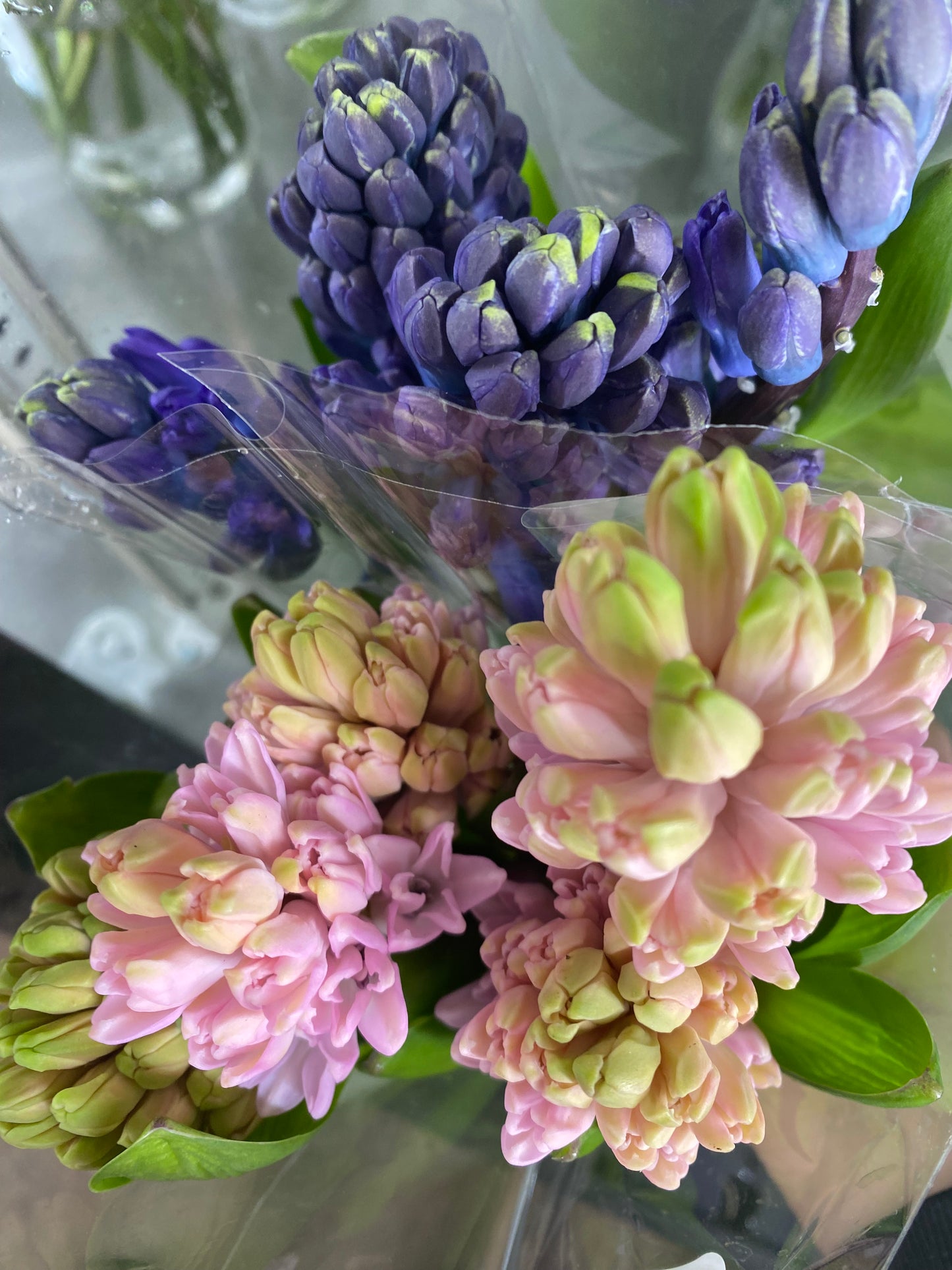 Hyacinth Bunch
