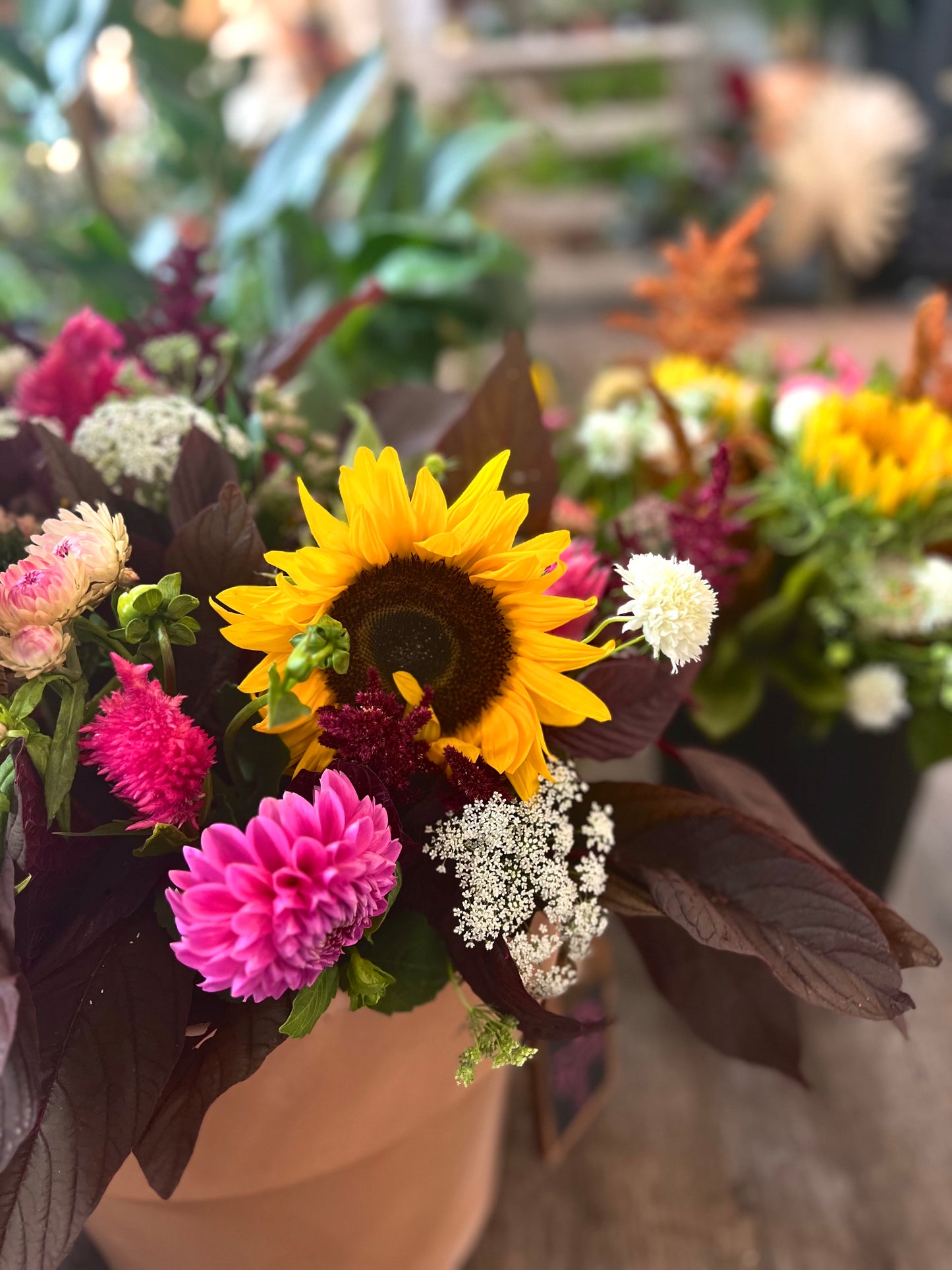 Local Farm Bunch