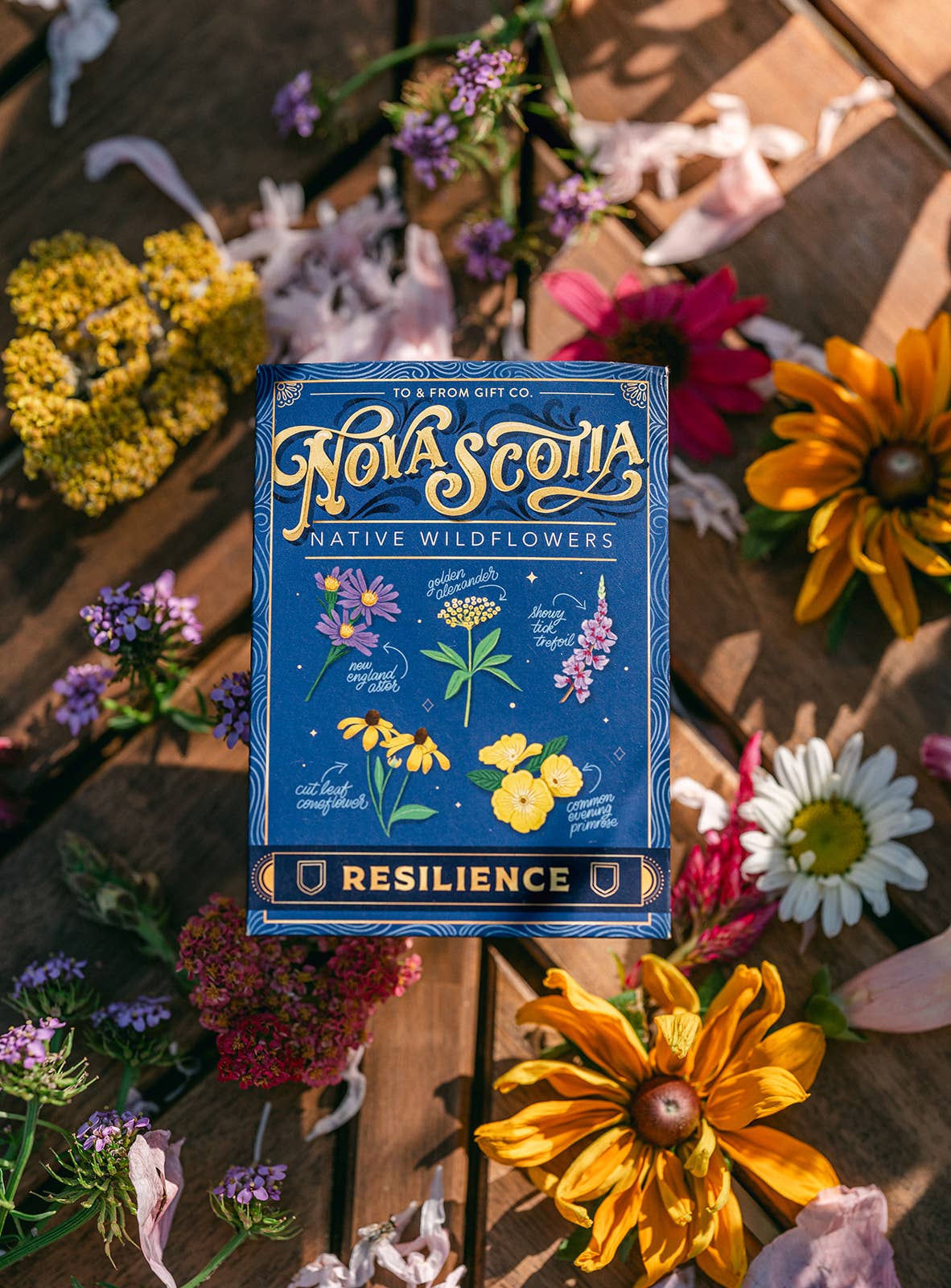 Nova Scotia Native Wildflowers (Resilience) - Seed Packet