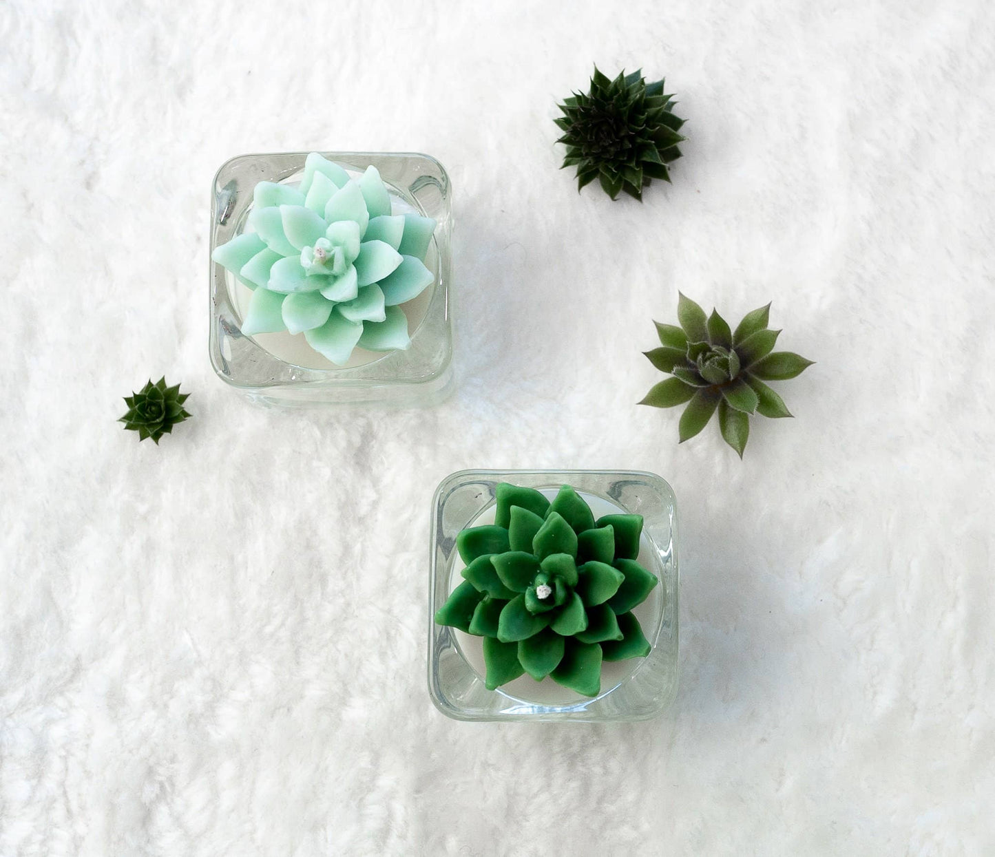 Succulent Tealight Candles | Soy Blend