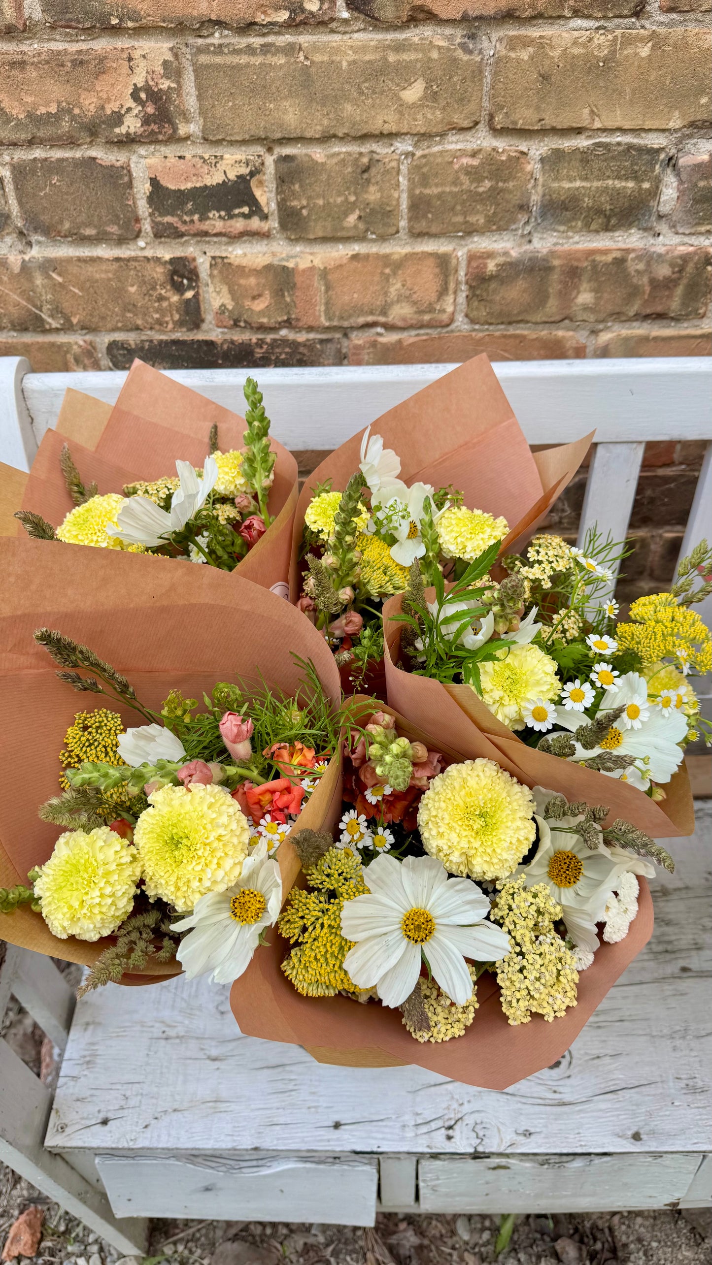 The Local Bloom Bunch