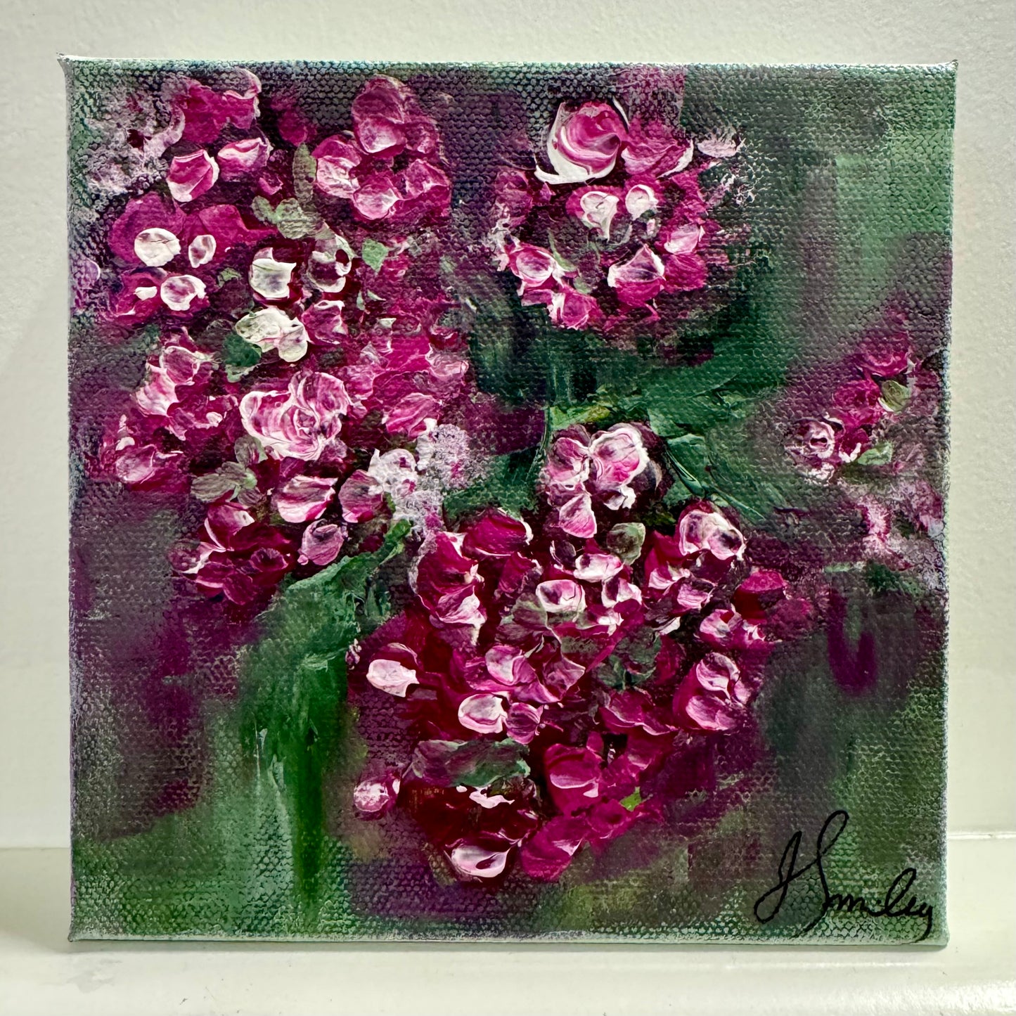 Canvas paintings by Julie Smiley