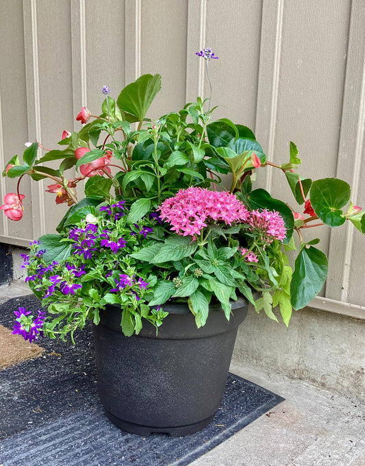 Flowering Outdoor Planter