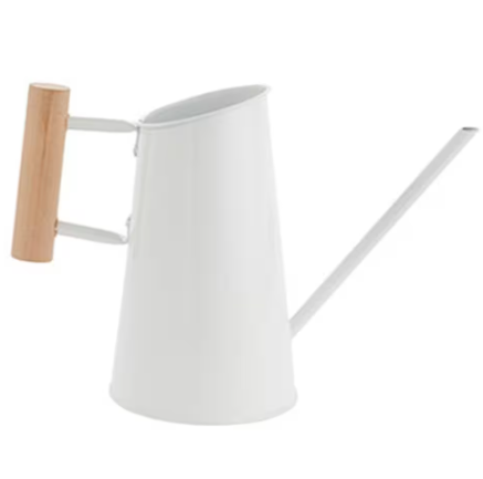 Preston Watering Can