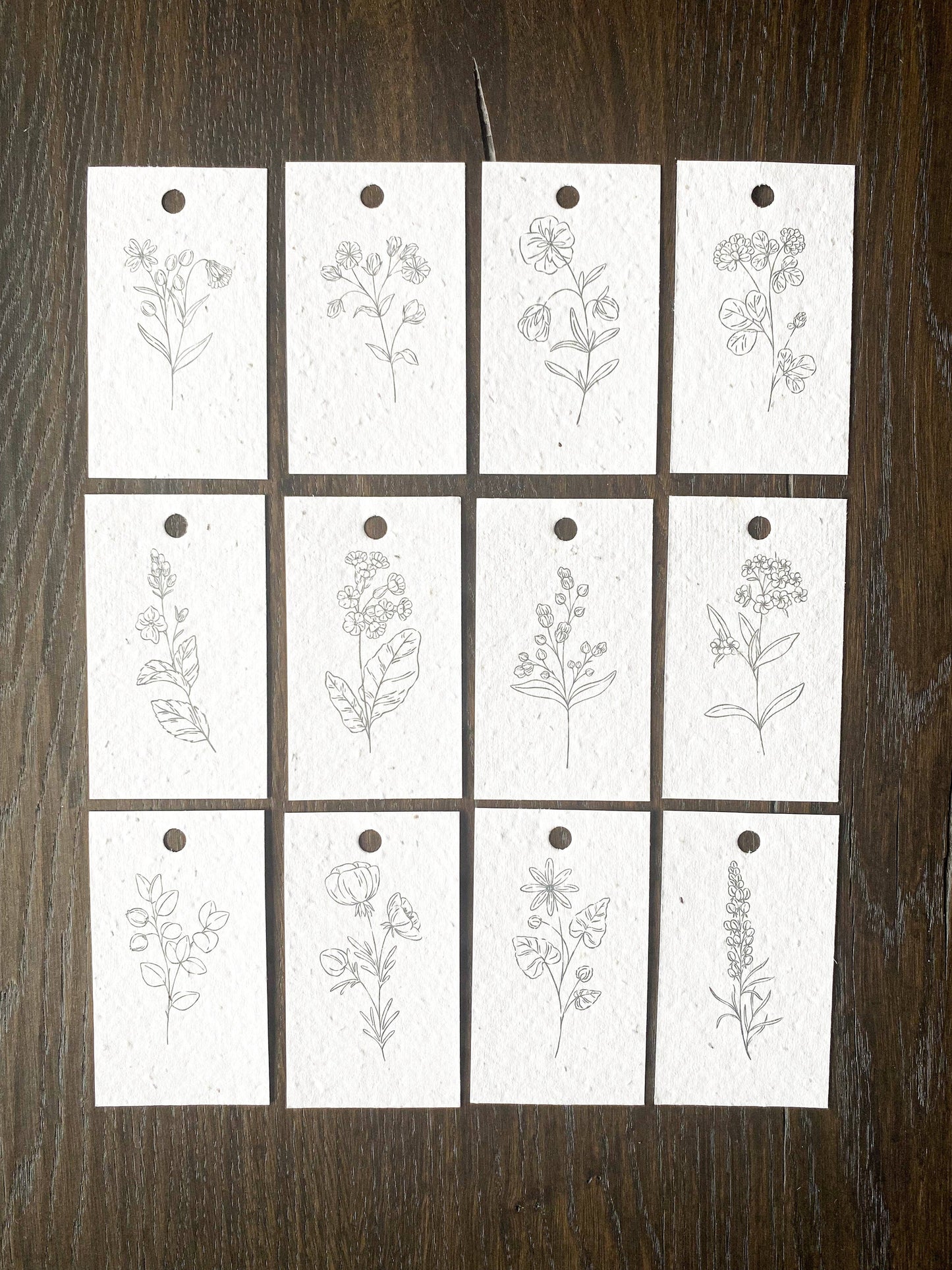 Plantable Gift Tags - Sketched Florals