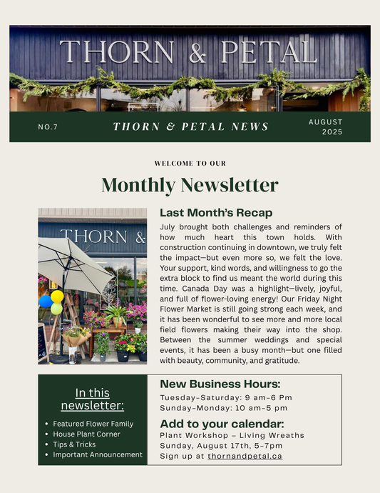 The Bloom & Root Bulletin | Issue No. 6