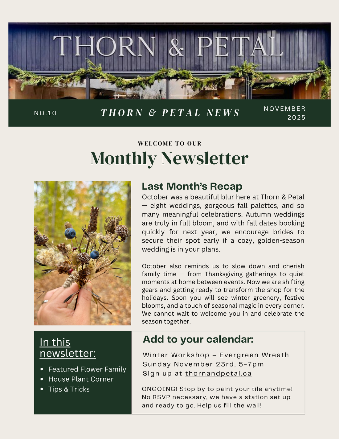 The Bloom & Root Bulletin | Issue No. 10