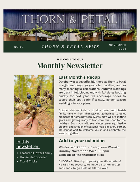 The Bloom & Root Bulletin | Issue No. 10