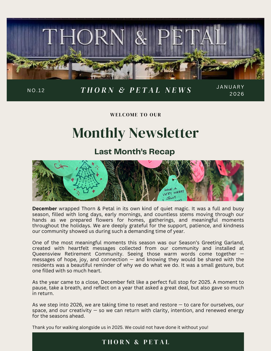 The Bloom & Root Bulletin | Issue No. 12