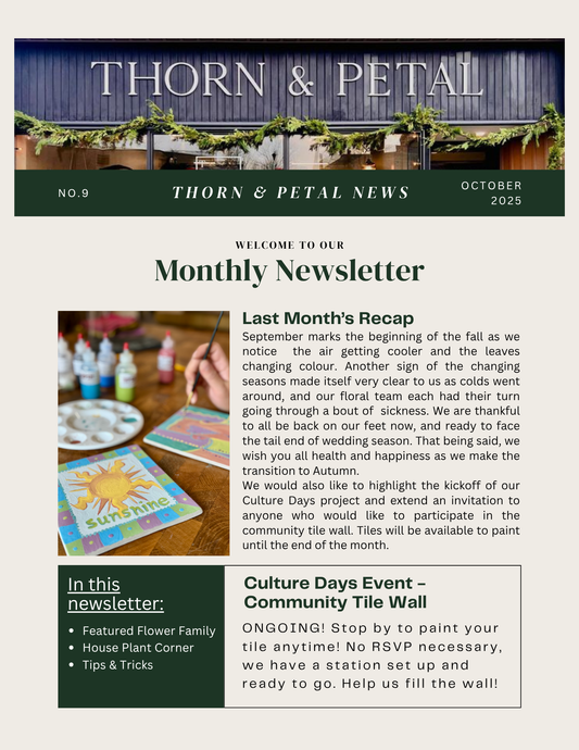 The Bloom & Root Bulletin | Issue No. 9