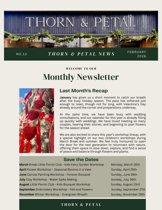 The Bloom & Root Bulletin | Issue No. 13