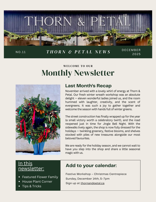 The Bloom & Root Bulletin | Issue No. 11