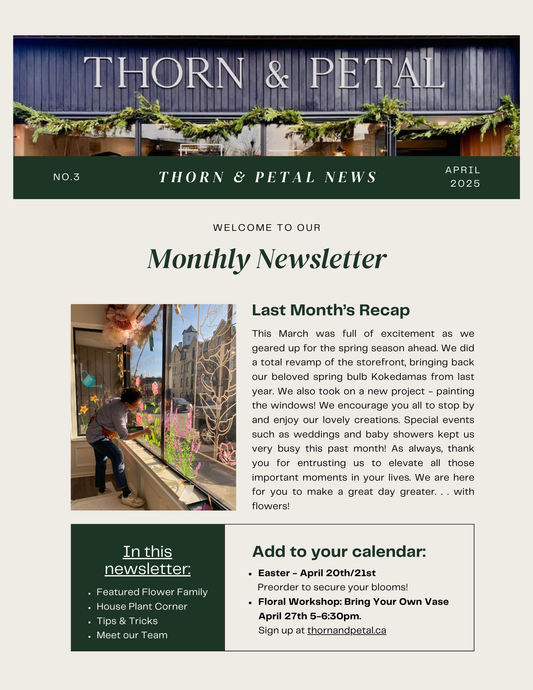 The Bloom & Root Bulletin | Issue No. 3