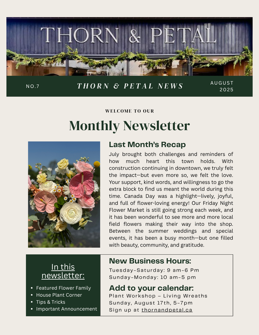 The Bloom & Root Bulletin | Issue No. 7