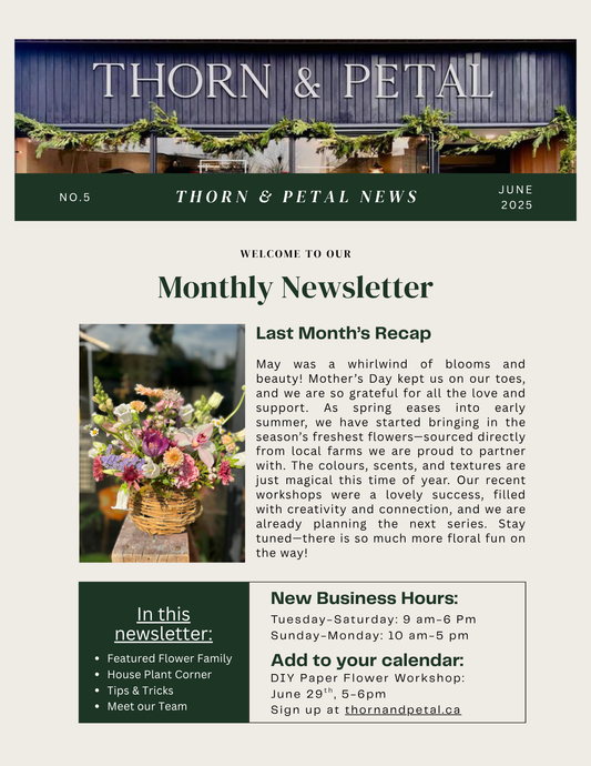 The Bloom & Root Bulletin | Issue No. 5