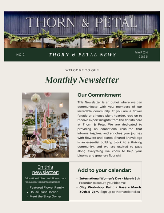 The Bloom & Root Bulletin | Issue No. 2