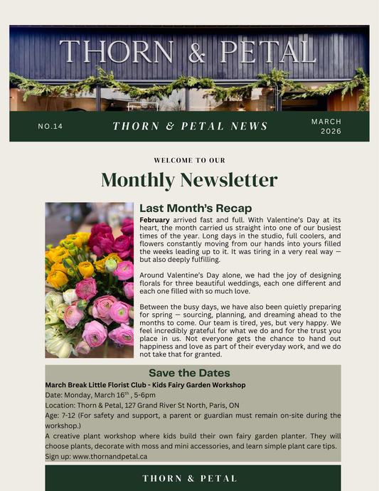 The Bloom & Root Bulletin | Issue No. 14