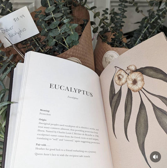 Victorian Language of Flowers--Eucalyptus