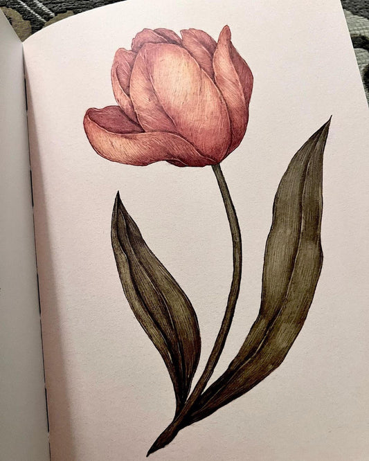 Victorian Language of Flowers--Tulip