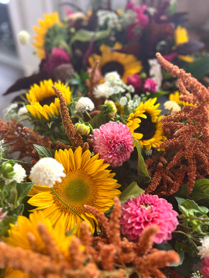 Local Farm Bunch