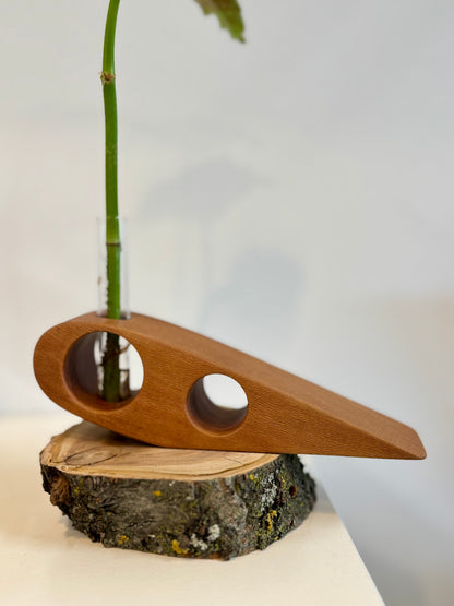 Sycamore Propagation Stand