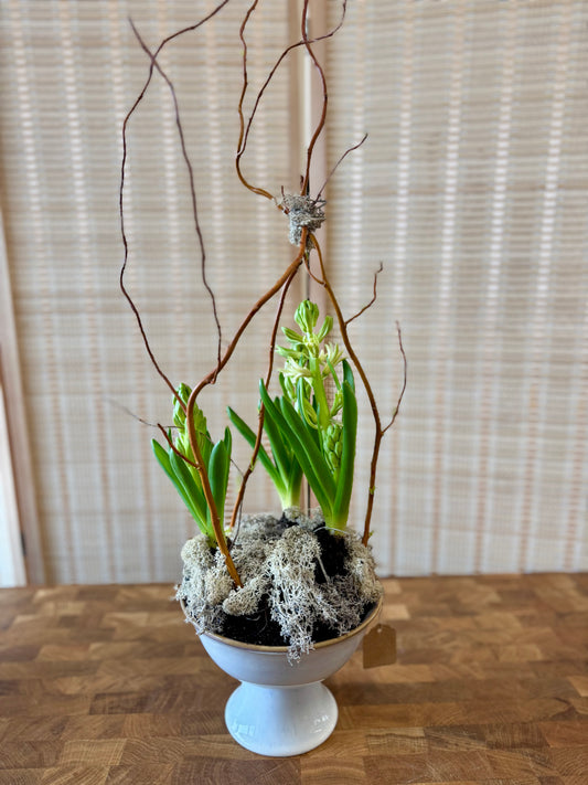 Spring Bulb Planter