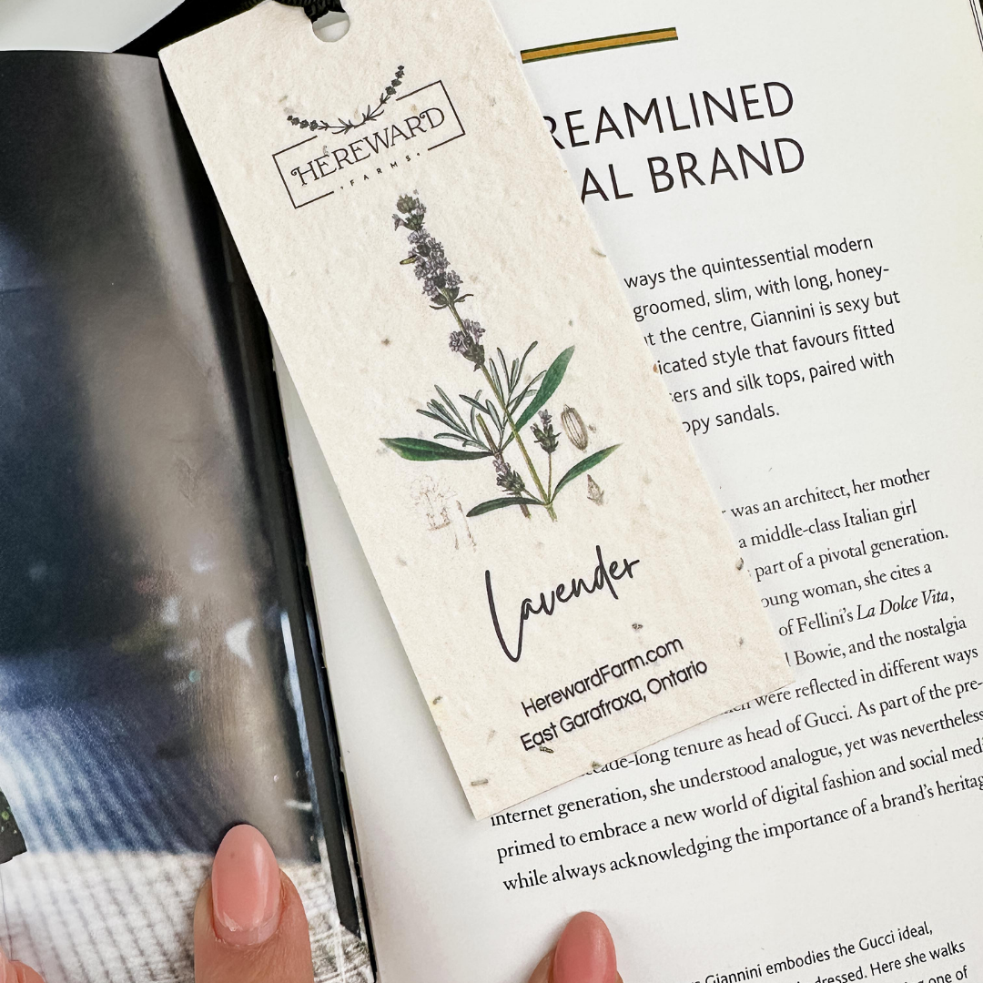 Bookmark  |  Lavender Wild Seed Bookmark