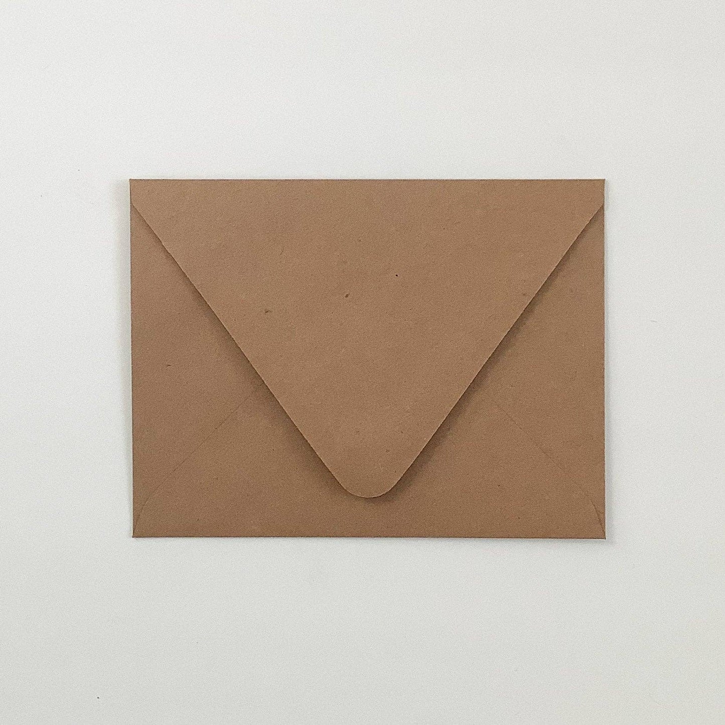 Plantable Holiday Card - Joy and Gratitude