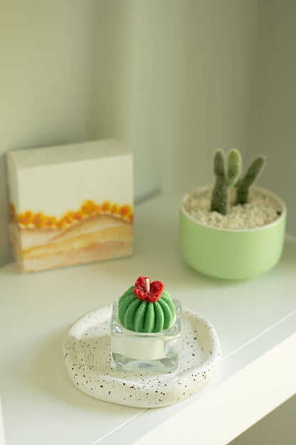 Barrel Cactus Tealight Candles | Soy Wax Blend