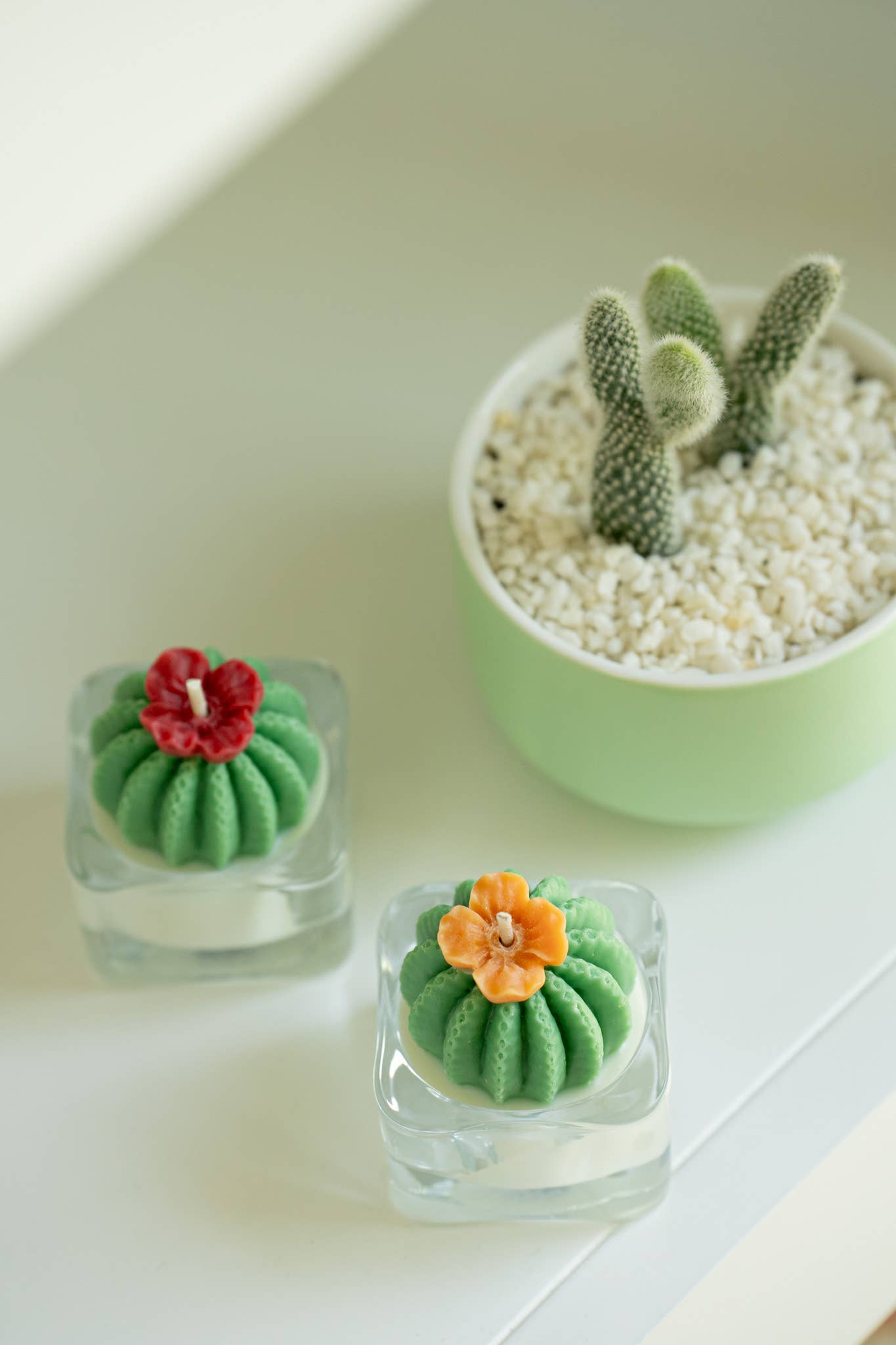 Barrel Cactus Tealight Candles | Soy Wax Blend