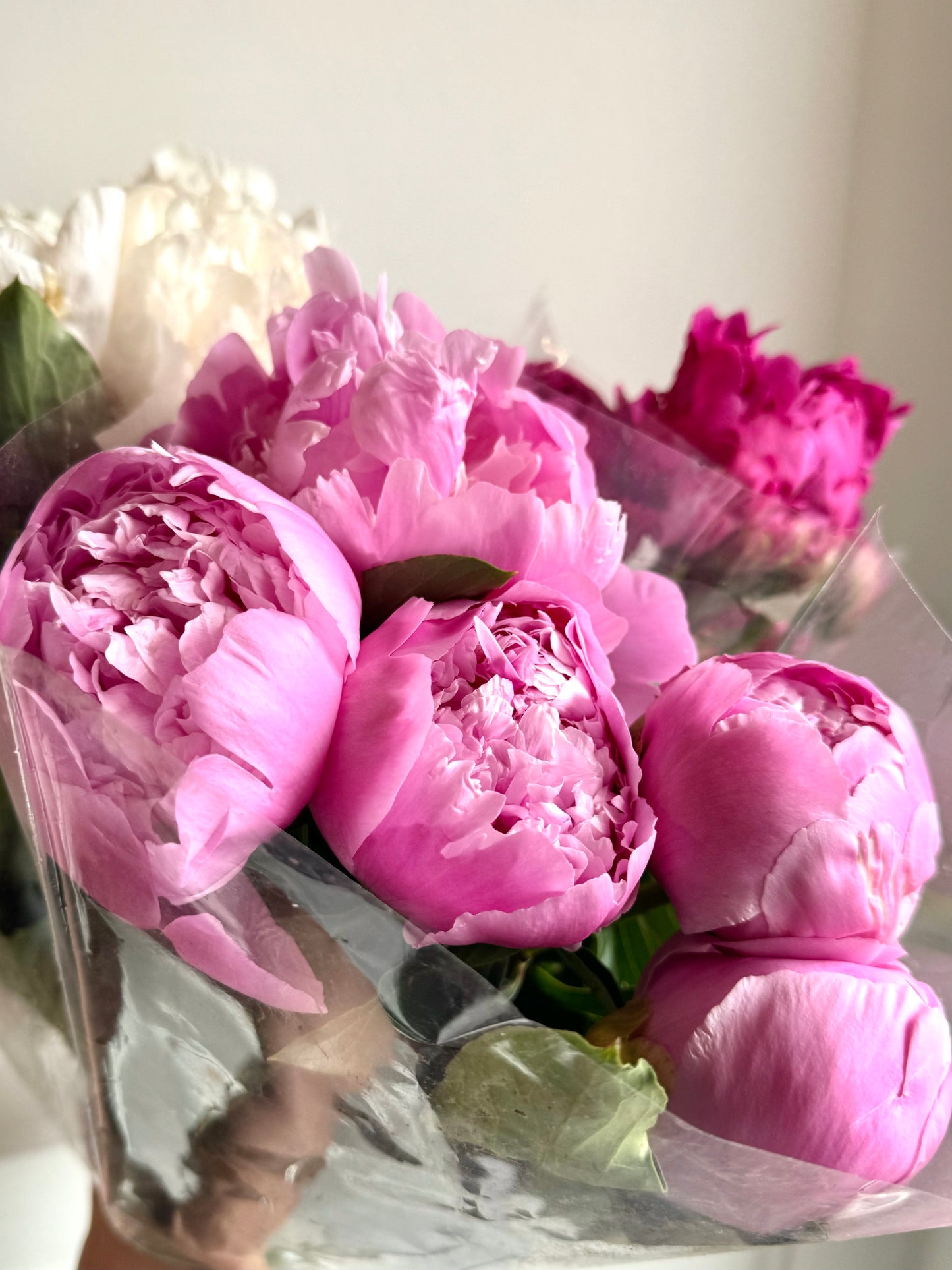 Peony Bunch