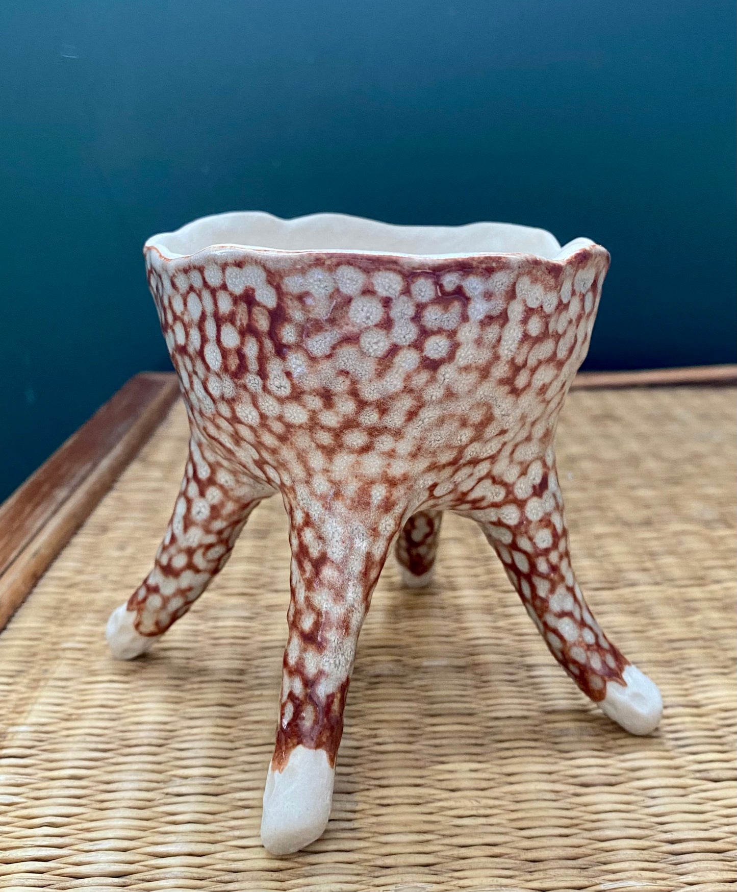 Phalsiii Ceramics Succulent Pots