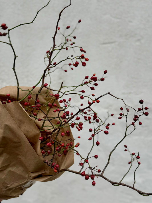 Rosehips Bunch