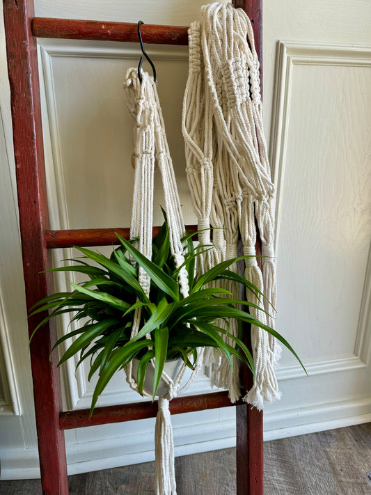 Macrame Plant Hangers