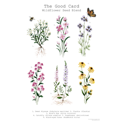 Plantable Greeting Card - Thanks A Bunch