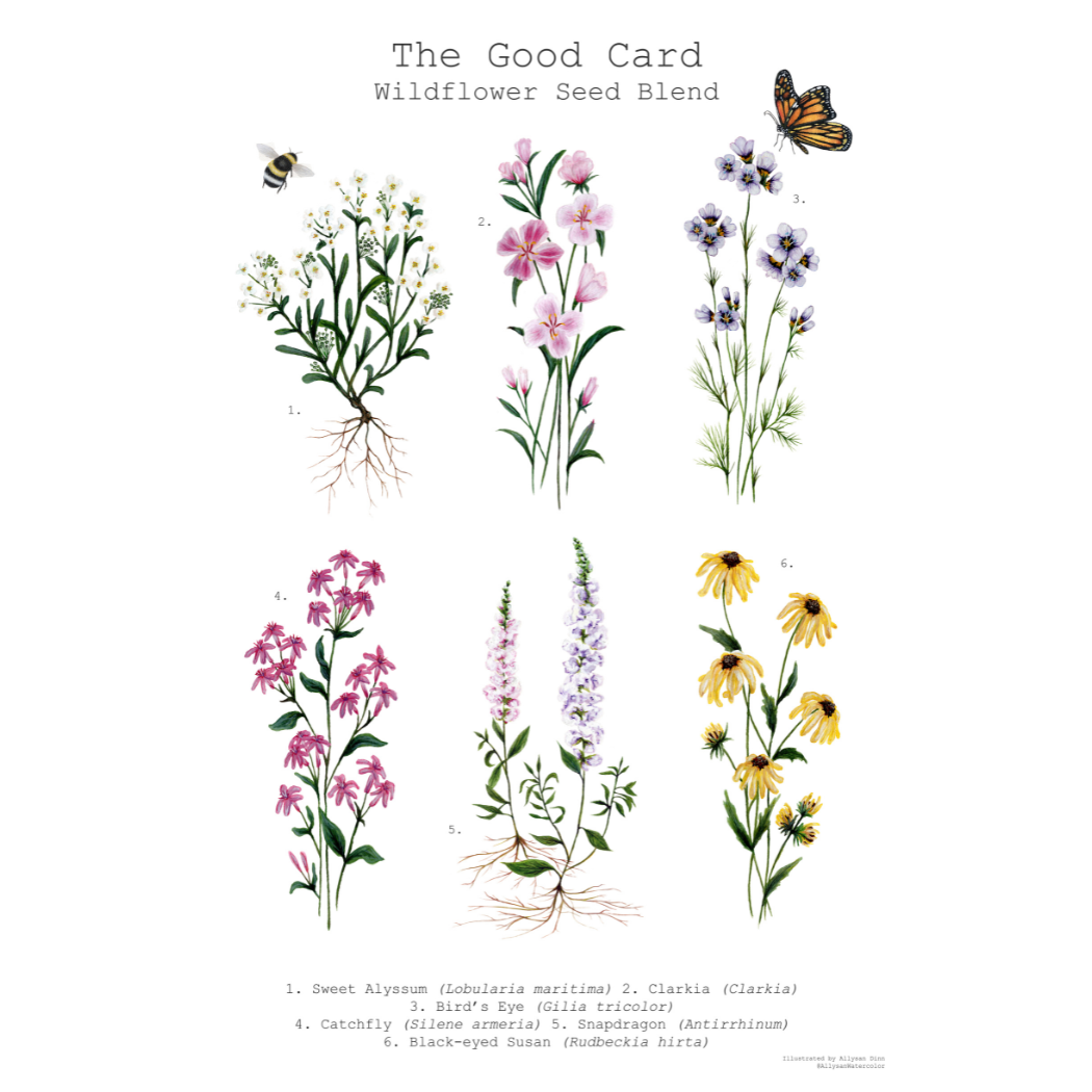 Plantable Greeting Card - Happy Birthday