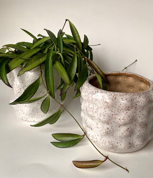 Phalsiii Ceramics Bubble Pot