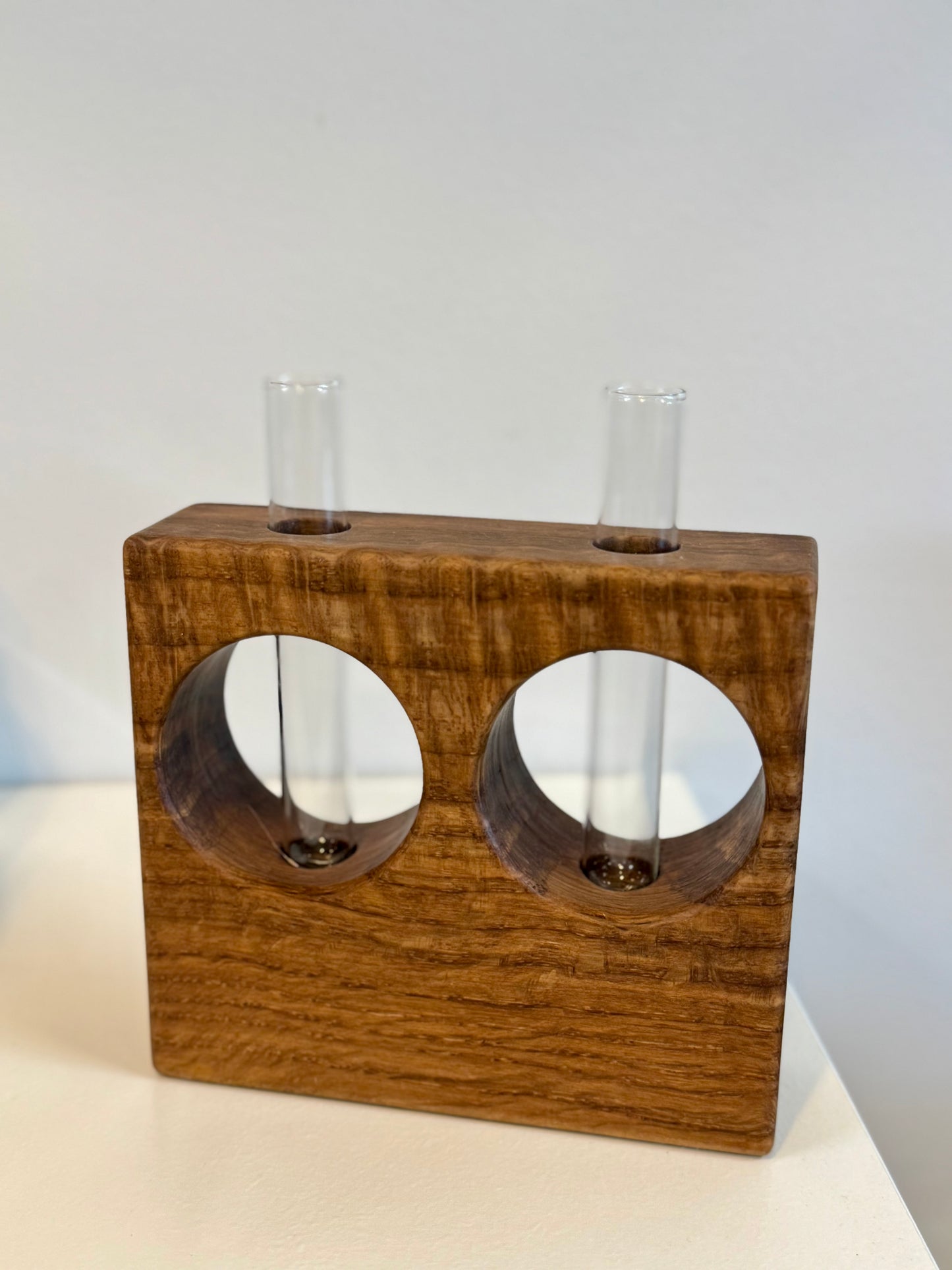 White Oak Propagation Stand