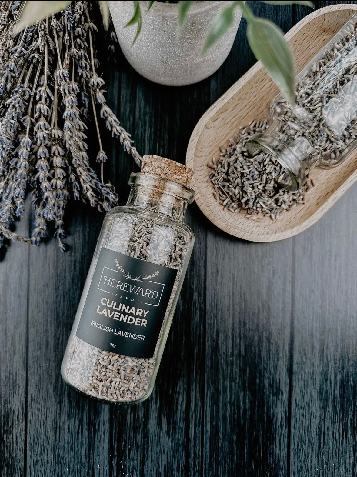 Culinary Lavender Jar