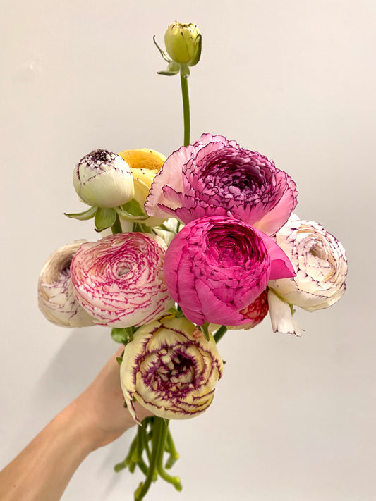 Ranunculus Bunch