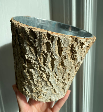 Birch Pot