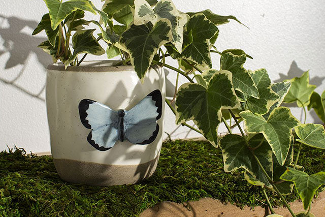 Flutter Pot