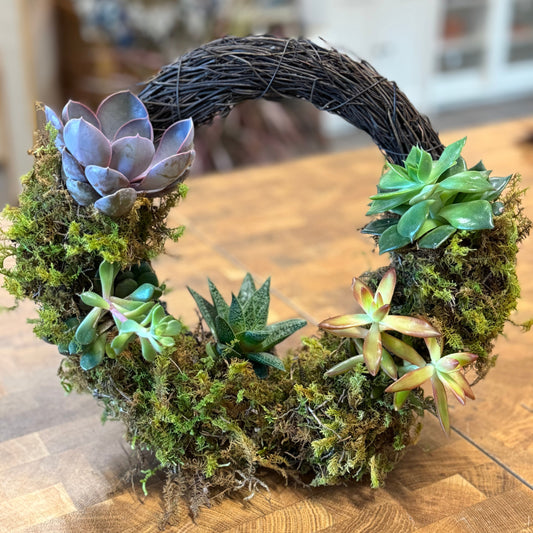 Plant Workshop – Living Wreaths